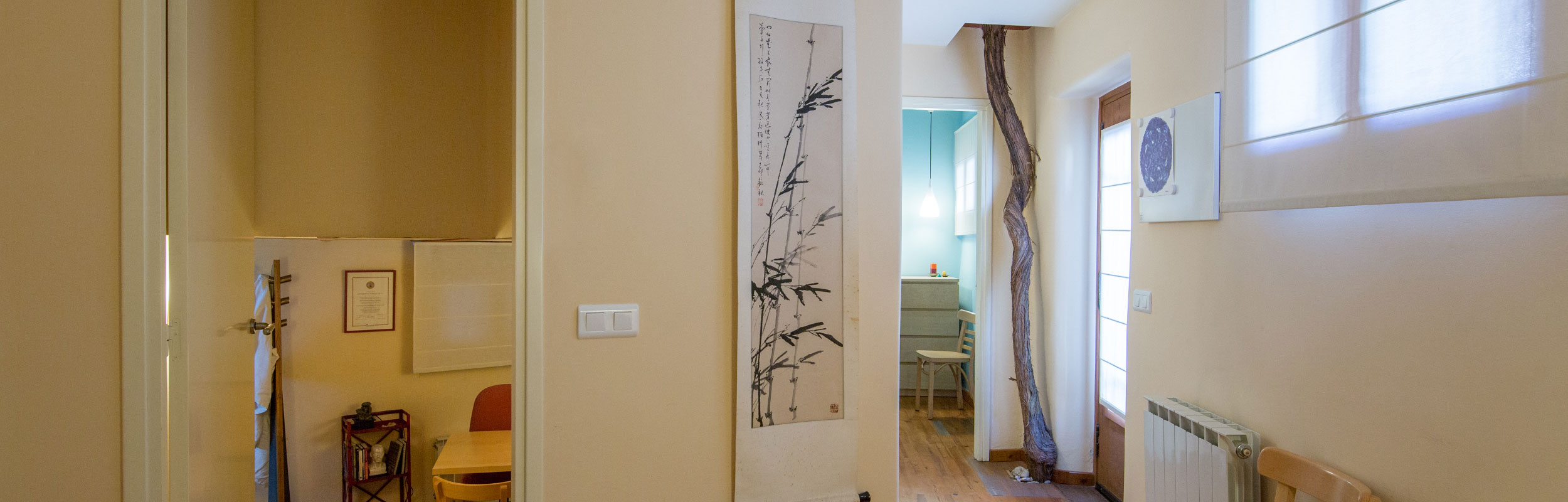 Zena - Instal·lacions. Foto 2